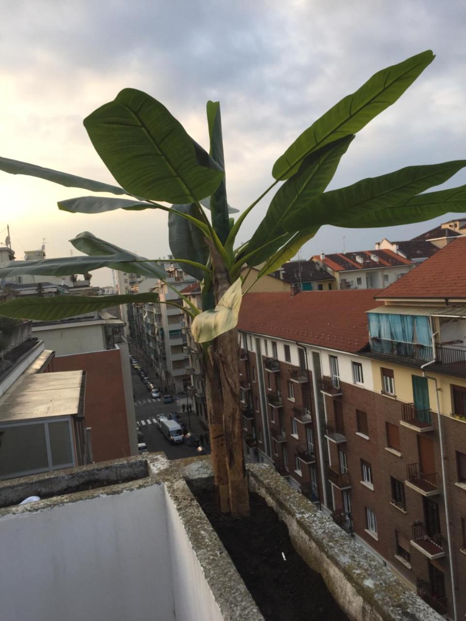 Appartement Attico Lux Turin Extérieur photo